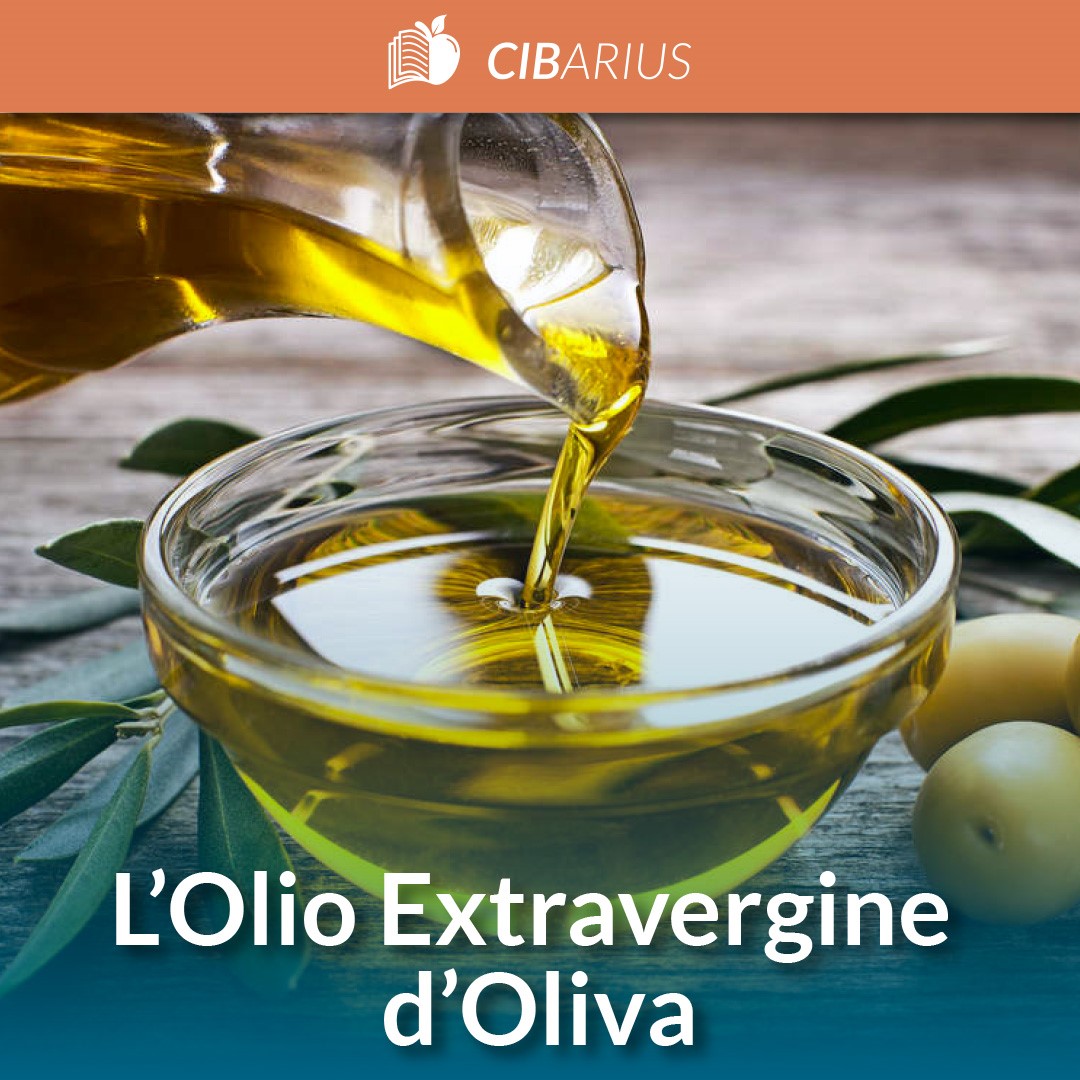 L'Olio Extravergine d'Oliva