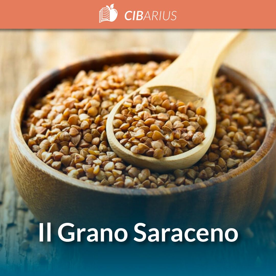 Il Grano Saraceno: proprietà nutrizionali, controindicazioni e storia