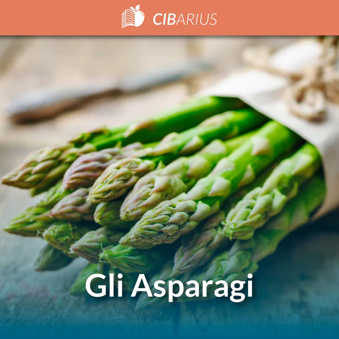 Gli Asparagi: proprietà nutrizionali, controindicazioni e storia