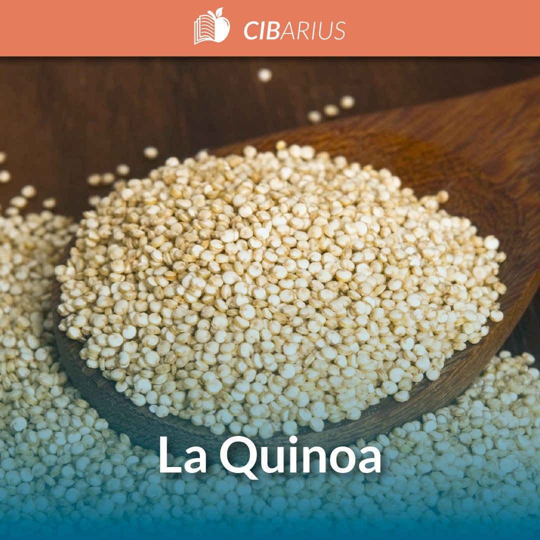 La Quinoa: proprietà nutrizionali, controindicazioni e storia