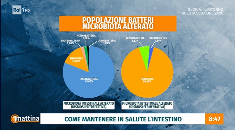 Microbiota e intestino