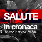 La pianta mangia nichel | Salute in cronaca