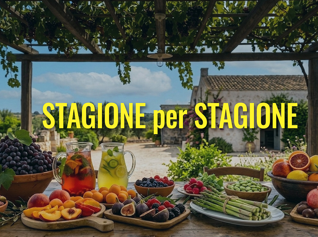 Stagione per Stagione | Guarda tutte le puntate