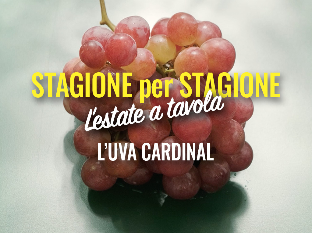 L'Uva Cardinal | Stagione per Stagione - l’estate in tavola