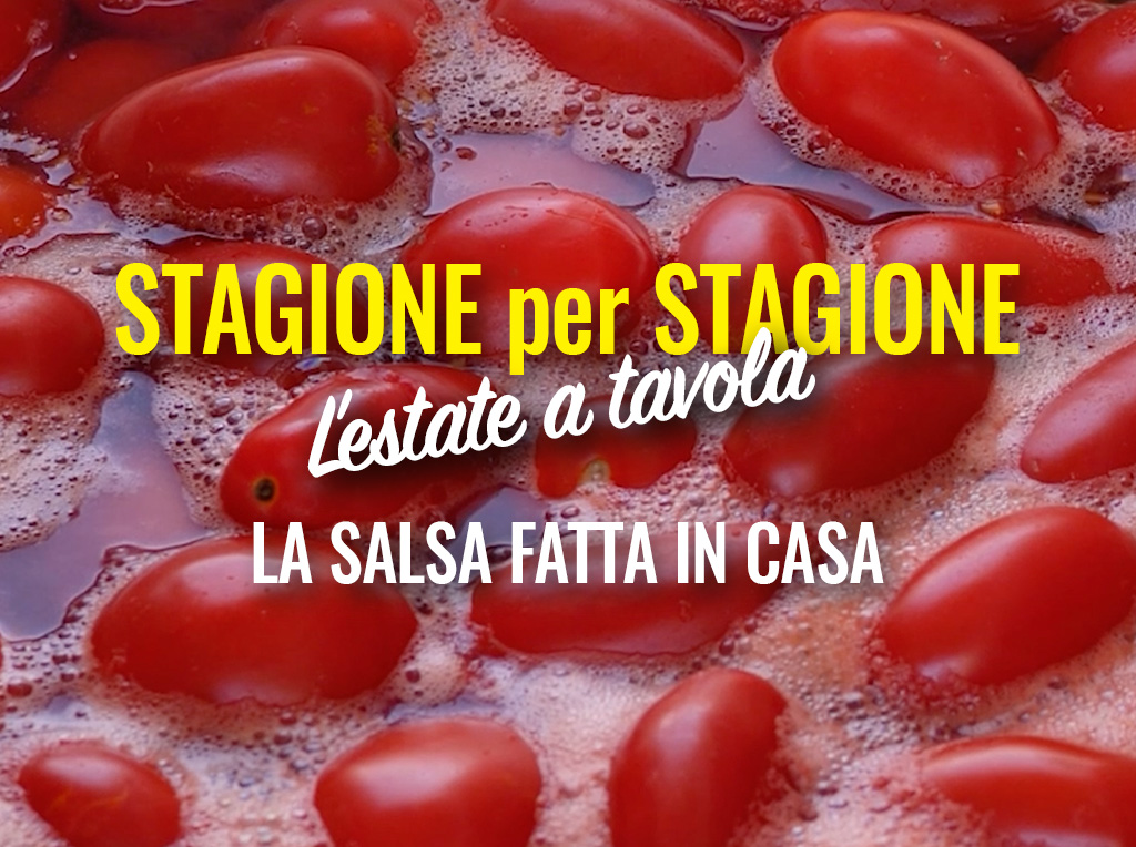 La salsa fatta in casa | Stagione per Stagione - l’estate in tavola