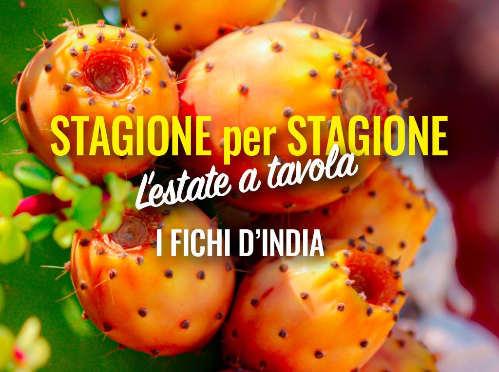 Stagione per Stagione - l’estate in tavola: I fichi d'India
