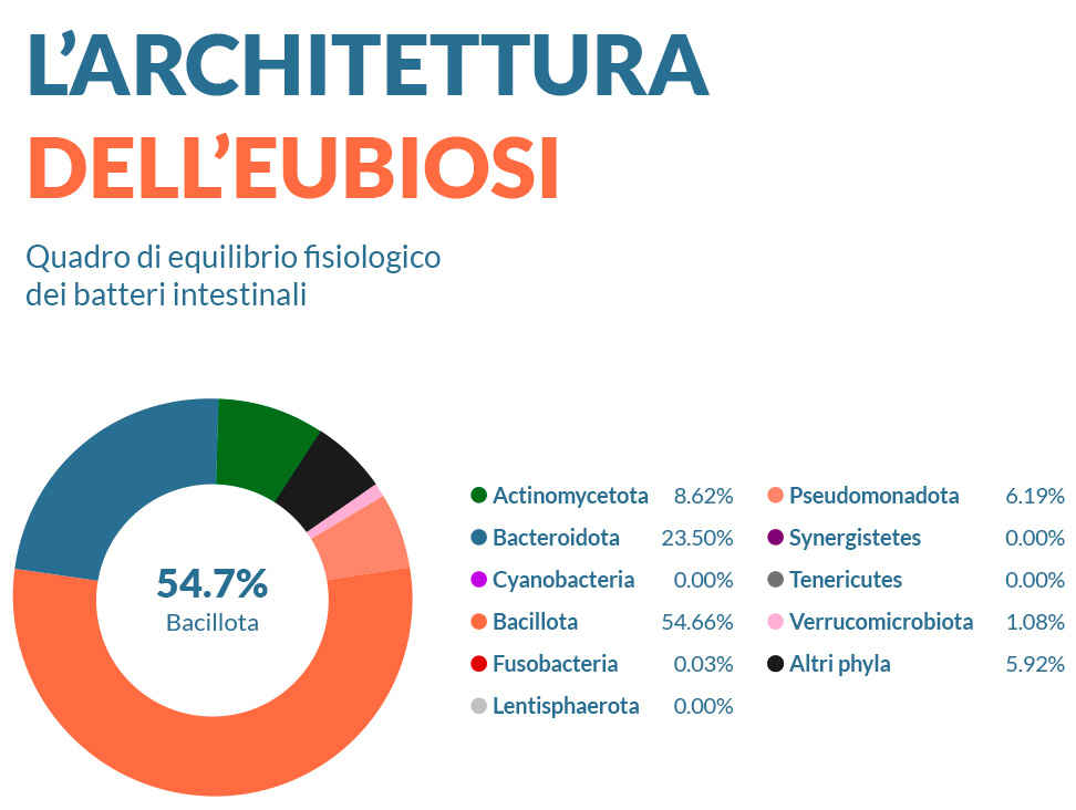 GUIDA ALLA LETTURA: L'ARCHITETTURA DELL'EUBIOSI