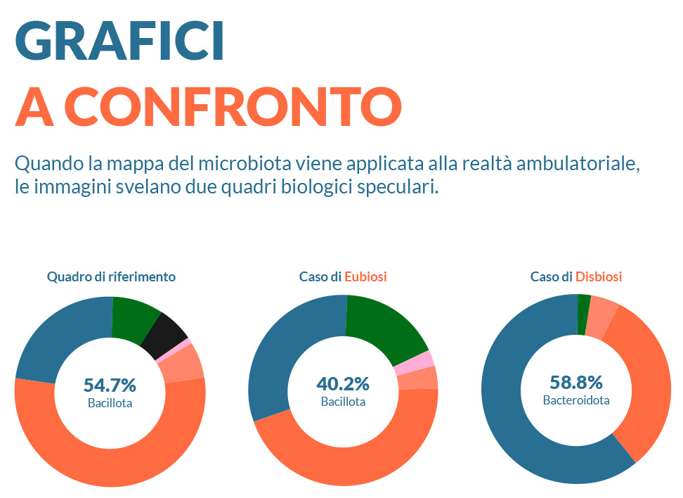 GUIDA ALLA LETTURA: GRAFICI A CONFRONTO