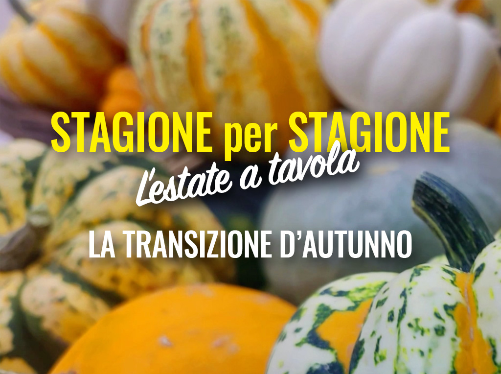 La transizione d'autunno | Stagione per Stagione - l’autunno nel piatto